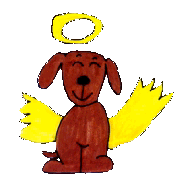 An angel dog